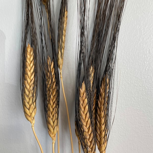 Blackbeard Wheat Pack of 7 Stems 30in ARTIFICIAL