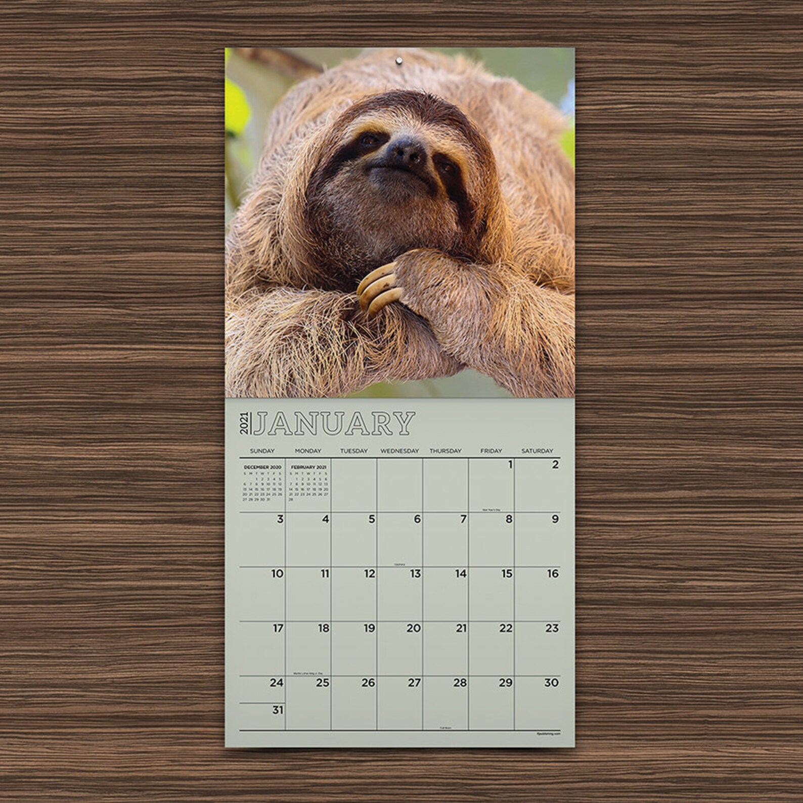2021 Sloths Wall Calendar 12x12 | Etsy 2021 Sloths Wall Calendar 12x12 | Etsy