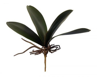 Phalaenopsis Foliage 10in Green Brown ARTIFICIAL