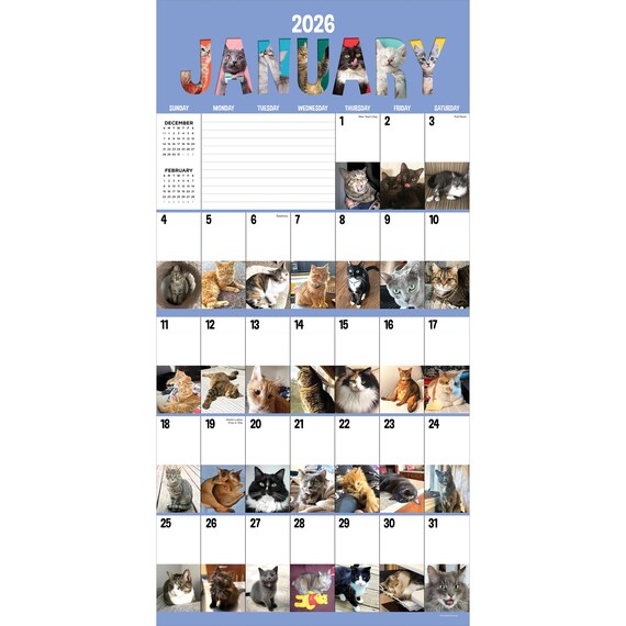 What Cats Teach Us 2026 12" X 12" Wall Calendar (free Shipping