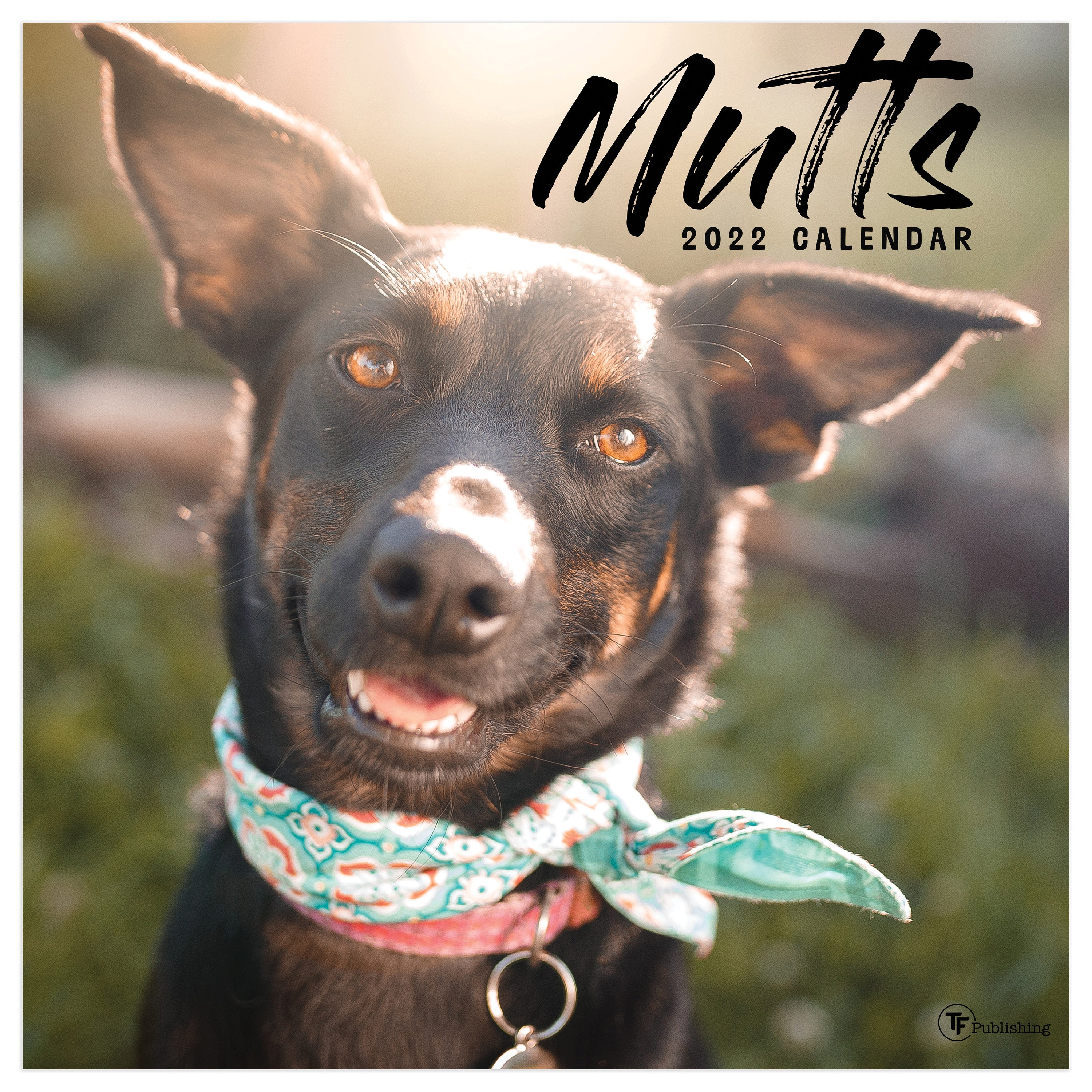 January 2022December 2022 Mutts 12x12 Wall Calendar Etsy