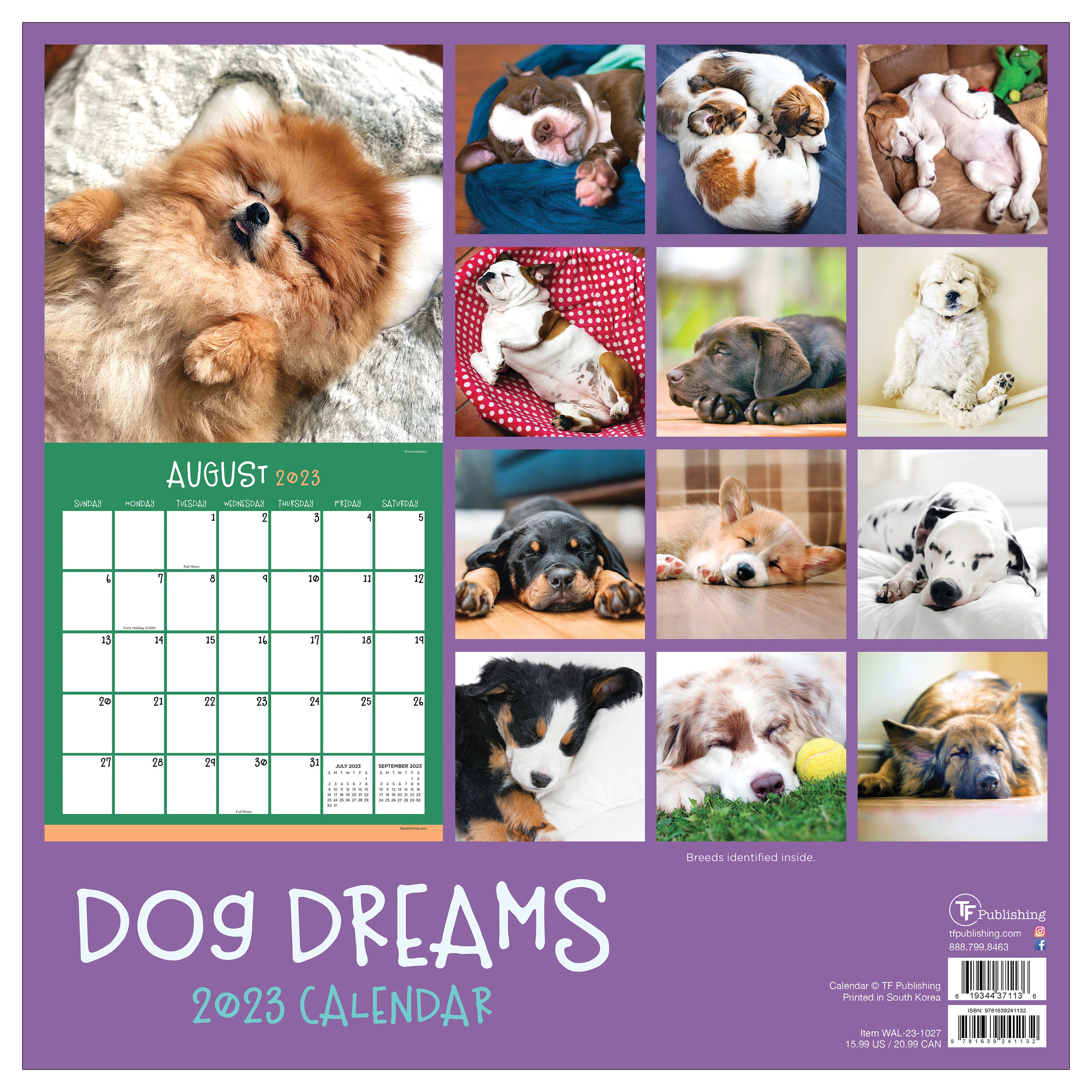 2023 Dog Dreams Wall Calendar - Etsy