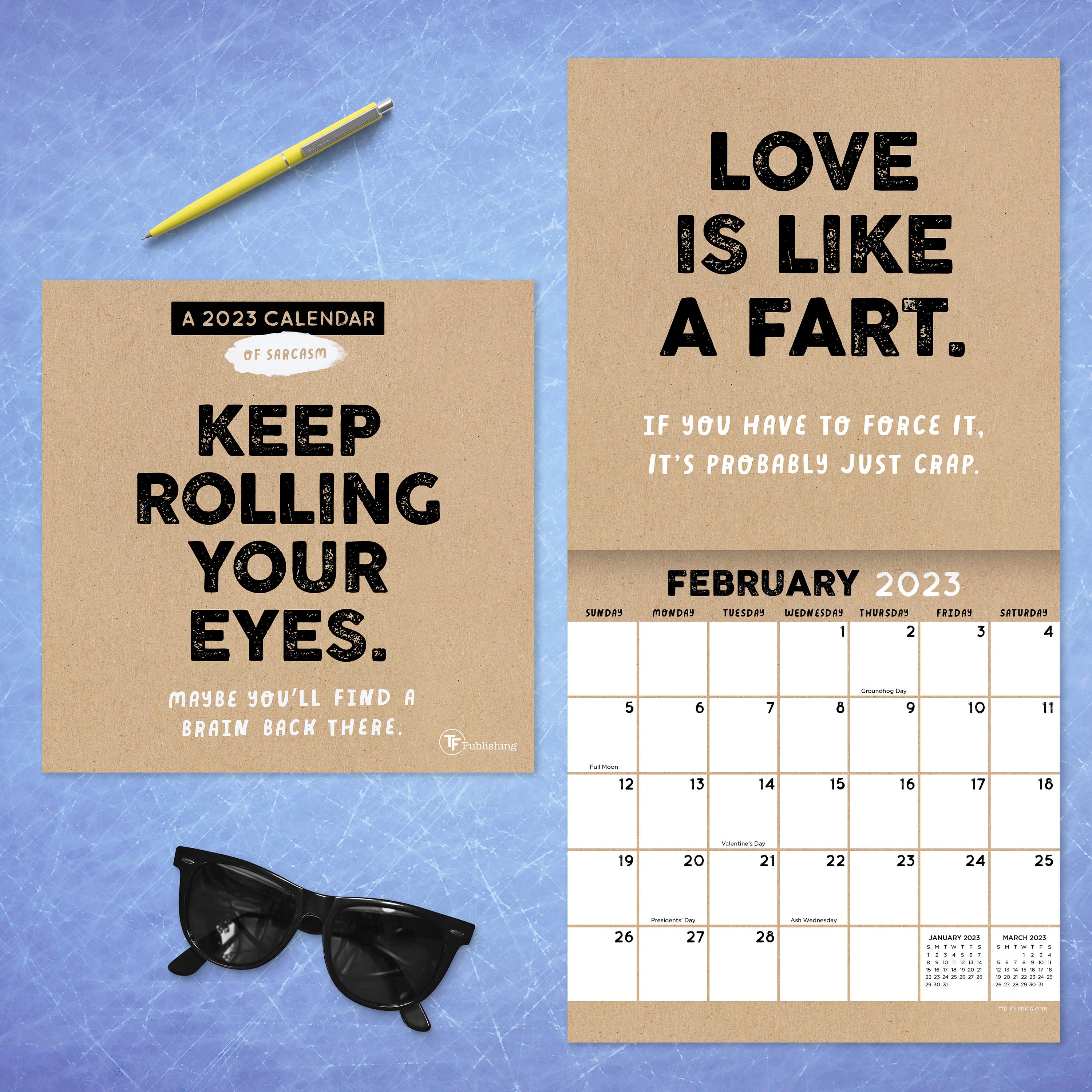 Sarcastic Anti Affirmations 2025 Daily Desk Calendar