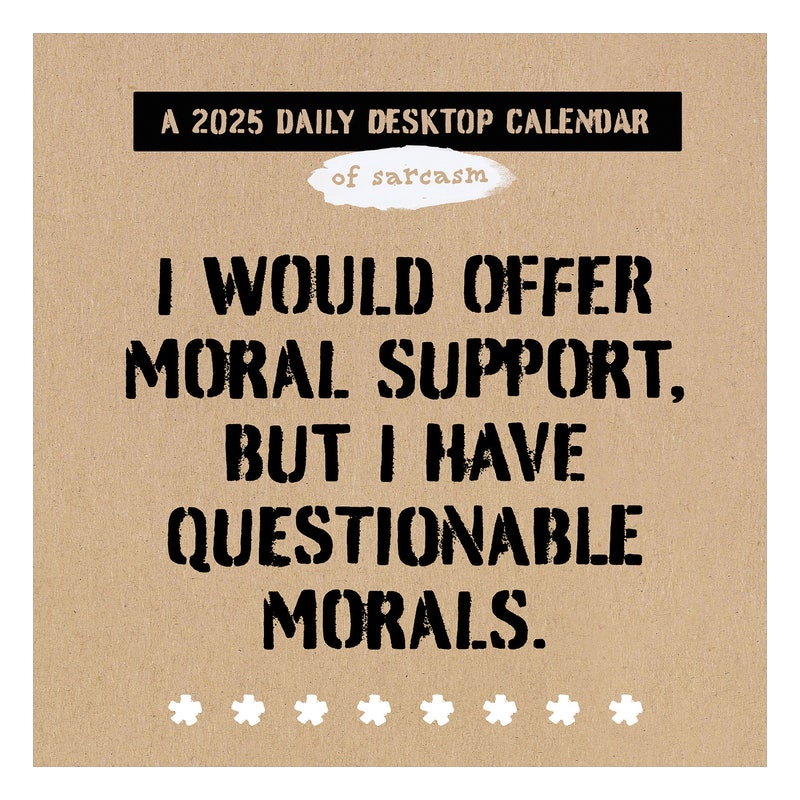 2025 Funny Calendar Desk Daily Etsy
