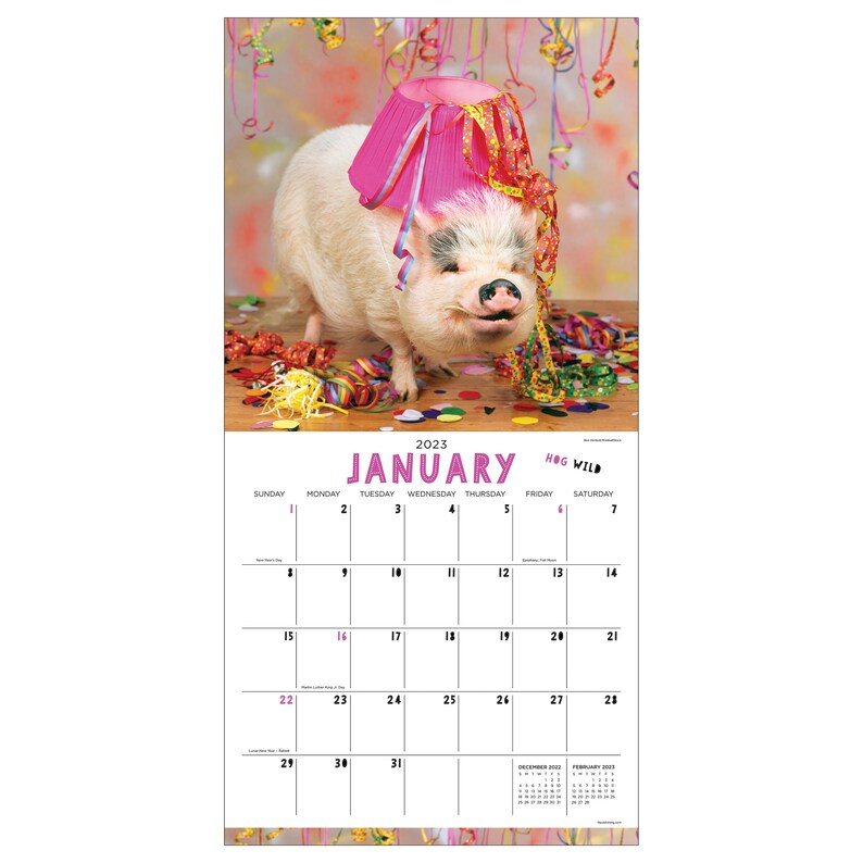 2023 Playful Pigs Wall Calendar Etsy