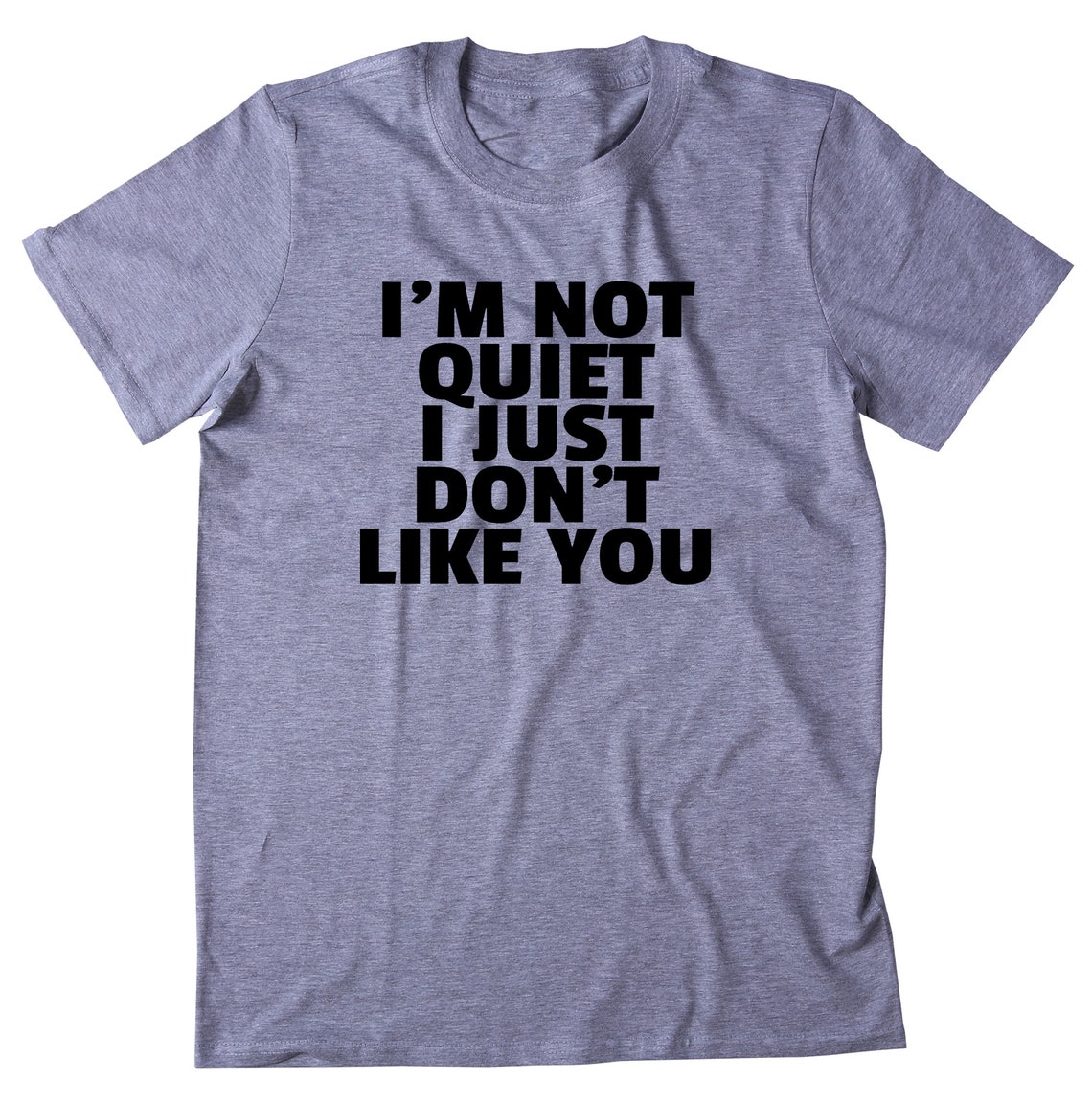 I'm Not Quiet I Just Don't Like You Shirt Sarcastic | Etsy