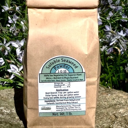 Plant Accessories Home & Hobby Floral & Garden Crafts Organic