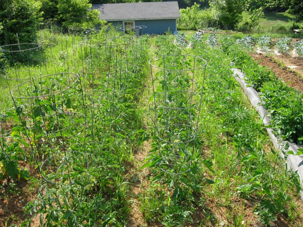 Organic Fertilizer neversink Blend / All Purpose Mix for Etsy