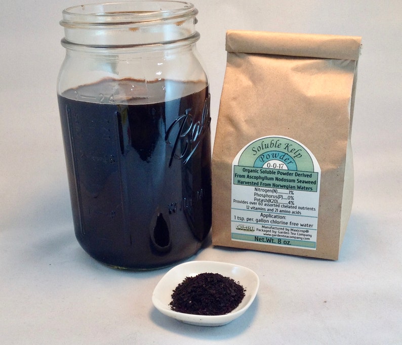 Organic Kelp Soluble Seaweed Fertilizer | Etsy