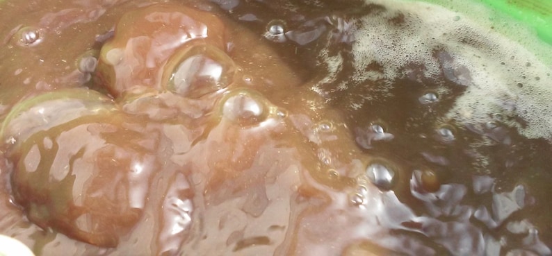 May include: Close-up of a brown liquid with bubbles forming on the surface. The liquid is in a clear container.