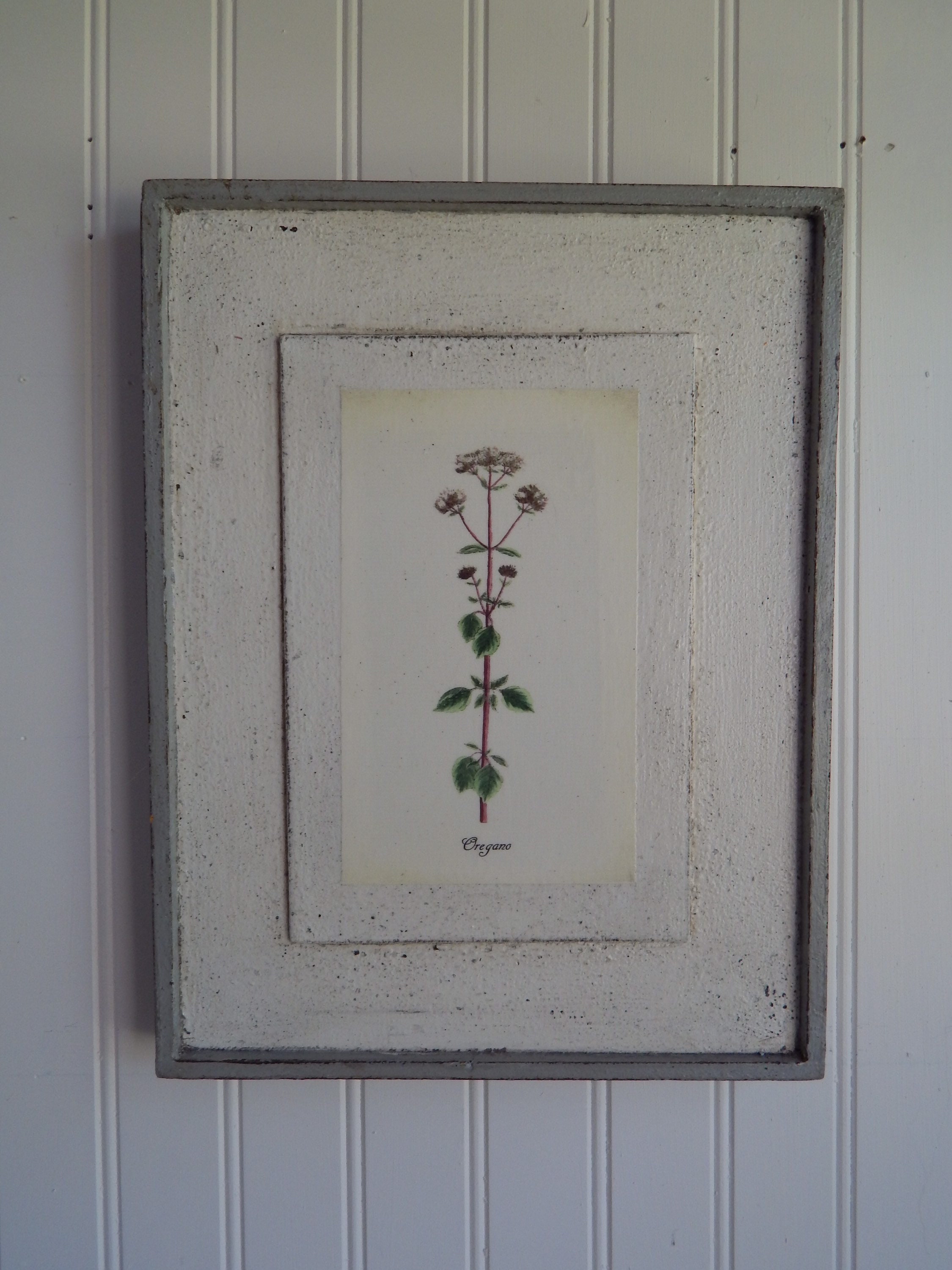 Antique Botanical Herb Print on Wood vintage botanical print Etsy