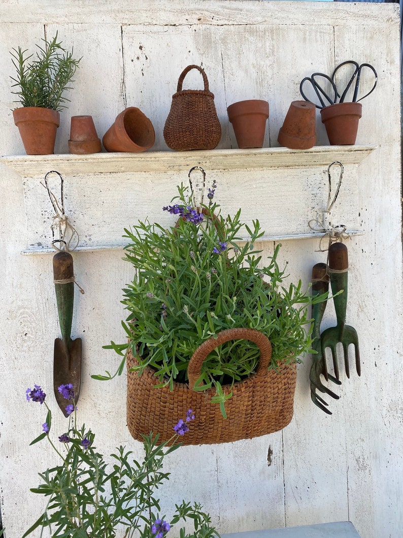 Peut inclure: Un mur blanc en bois avec une &eacute;tag&egrave;re contenant des pots en terre cuite et un panier tiss&eacute;. Deux outils de jardinage verts sont accroch&eacute;s &agrave; des crochets sous l'&eacute;tag&egrave;re. Un panier tiss&eacute; avec une poign&eacute;e est suspendu &agrave; un crochet, rempli de plantes de lavande.