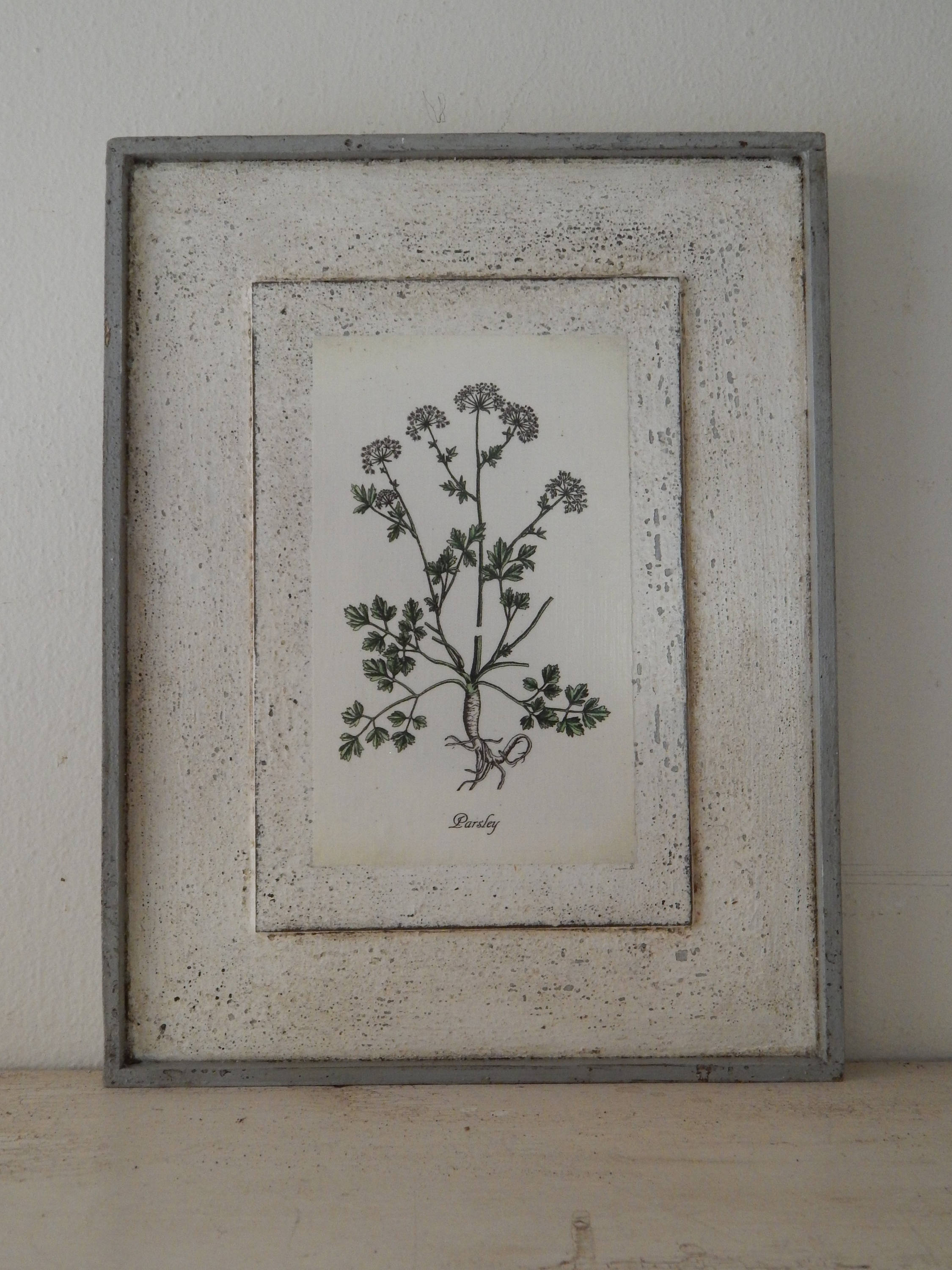 Botanical Herb Prints Set of Four vintage botanical prints | Etsy