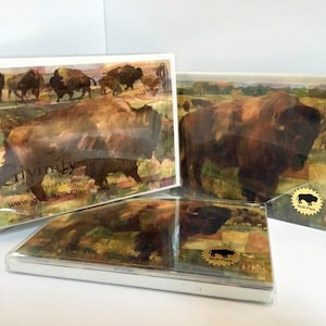Bison Multipack Note Cards: Bison Watercolor and Acrylic Art,  3 Styles 9 count, Ellen Jean Diederich