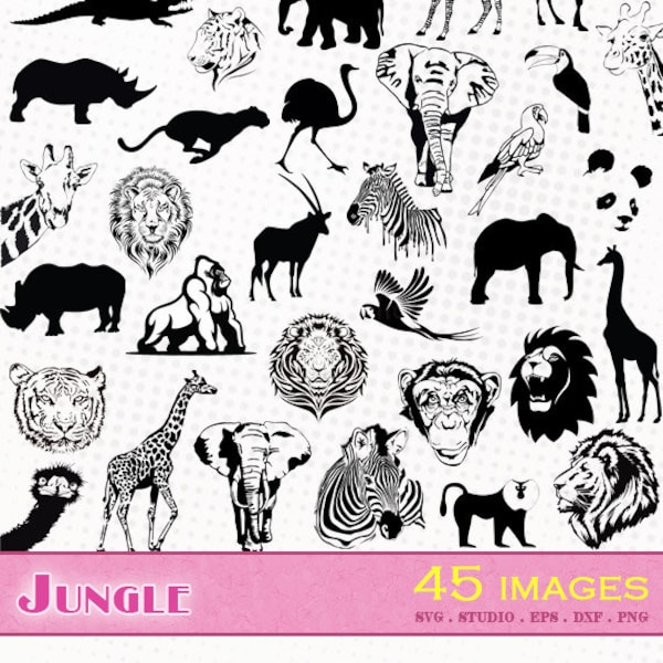 Animaux de la jungle - 45 images - Fichiers svg/dxf/eps/studio/png - Silhouettes, fichiers de découpe vectoriel Lion zebre girafe singe svg