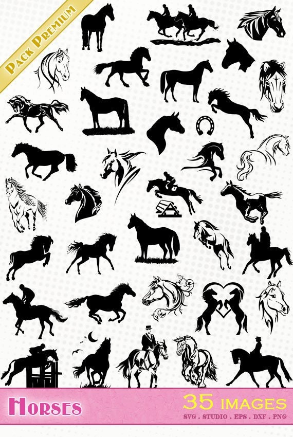 Download Horse Horse Riding 35 Svg Dxf Eps Silhouette Studio Png Etsy PSD Mockup Templates