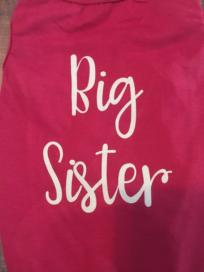Big Sister Dog Shirt Baby Announcement Shirt Dog Shirt Etsy