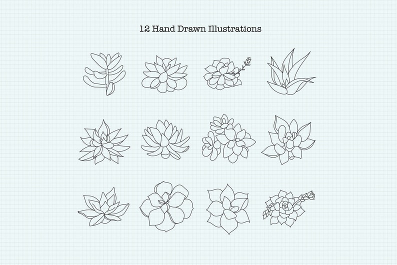 PNG Tiny Succ Elegant Minimalist Design Botanical Cliparts Succulent Clipart Minimalist Succulents Floral Business Wedding Invitation