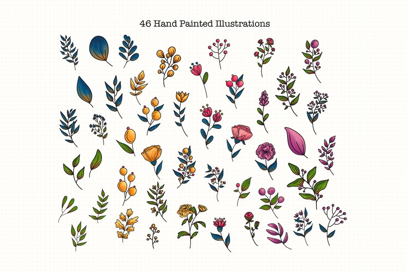 Spring Stems Illustration Set Spring Floral Clipart Floral Design Elements Simple Clip Art Summer Hand Drawn Bundle Minimalist Design
