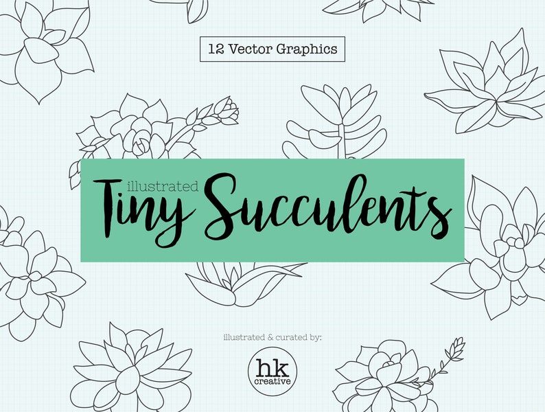 PNG Tiny Succ Elegant Minimalist Design Botanical Cliparts Succulent Clipart Minimalist Succulents Floral Business Wedding Invitation