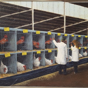 May include: Two people in white lab coats are looking at chickens in cages. The cages are stacked in rows and are made of metal. The chickens are white and brown. The people are in a large, empty building with a concrete floor.