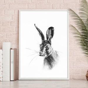Signed Hare A3 Art Print - &#39;Mystax&#39; by Katie Hargreaves - Signed Open Edition Print, Unframed | Christmas Present Art Gift