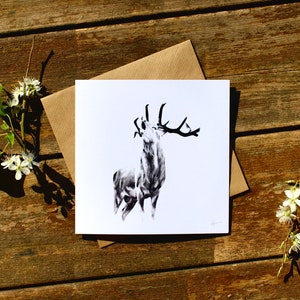 The Rut - Red Stag Wildlife Artist Greetings Card - Katie Hargreaves Art