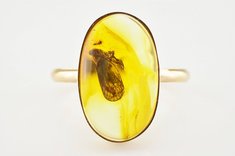 Natural Baltic Amber insects m 7