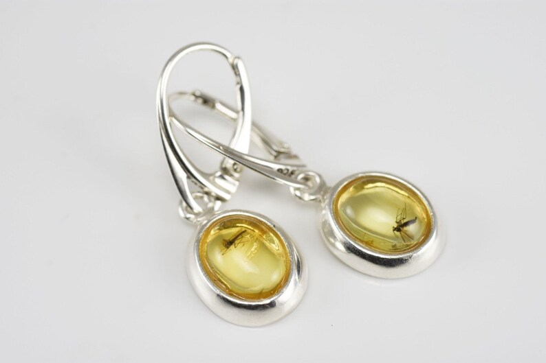 Handmade Baltic Amber Sterling Silver Earrings Jewelry With Fossil GNATS Inclusions