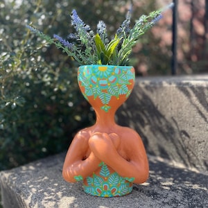 snake plant photos Buy Moonshine Snake Plants Online