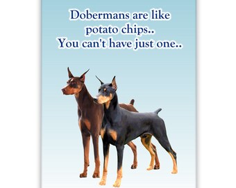 Doberman Pinscher fridge magnet og