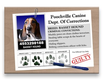 BASSET HOUND Licker License FRIDGE MAGNET New FUNNY Dog