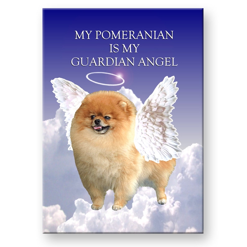 Pomeranian Guardian Angel Fridge Magnet