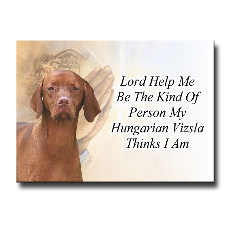 Funny Vizsla refrigerator magnet 2 1//2 x 3 1//2