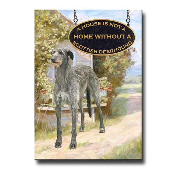 deerhound in not