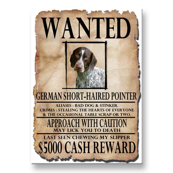 German Short Haired Pointer Wanted Poster Fridge Magnet