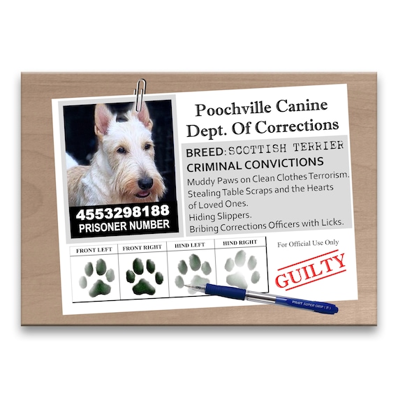 SCOTTISH TERRIER Wanted Poster FRIDGE MAGNET No 1 DOG