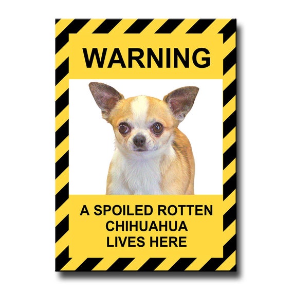 Chihuahua Spoiled Rotten Fridge Magnet