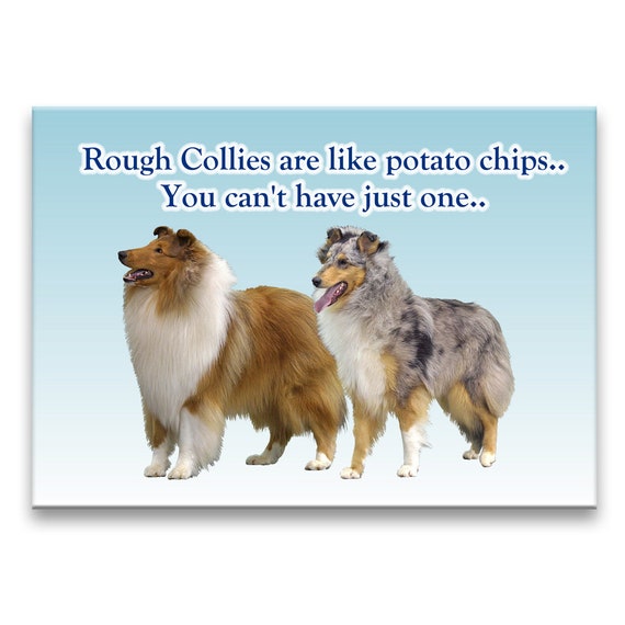 SMOOTH COLLIE Wanted Poster FRIDGE MAGNET No 1 DOG