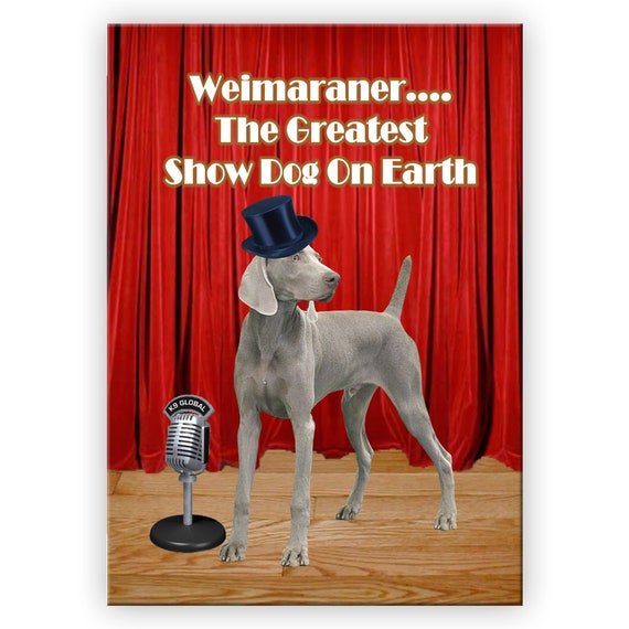 Weimaraner Worlds Greatest Show Dog Fridge Magnet