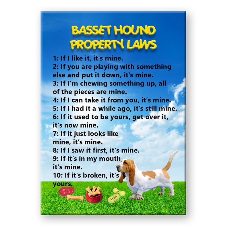 Basset Hound Property Laws Fridge Magnet No 1