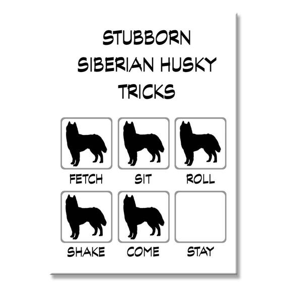 Siberian Husky Stubborn Tricks Fridge Magnet