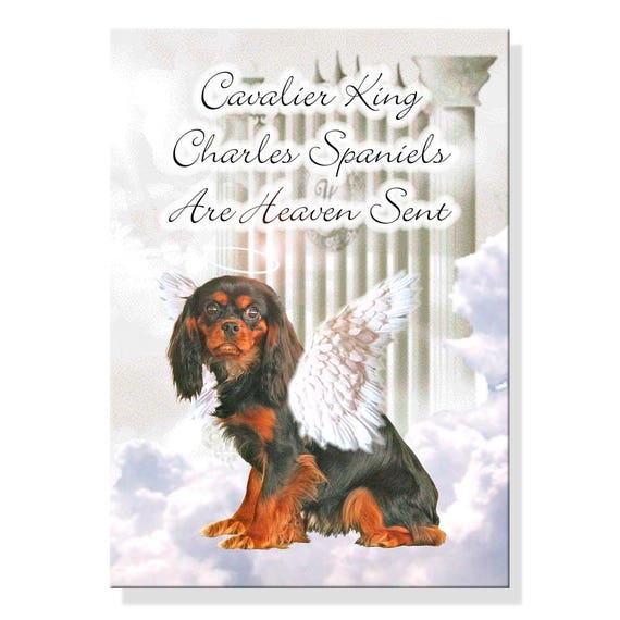 CAVALIER KING CHARLES SPANIEL Property Laws FRIDGE MAGNET No 2