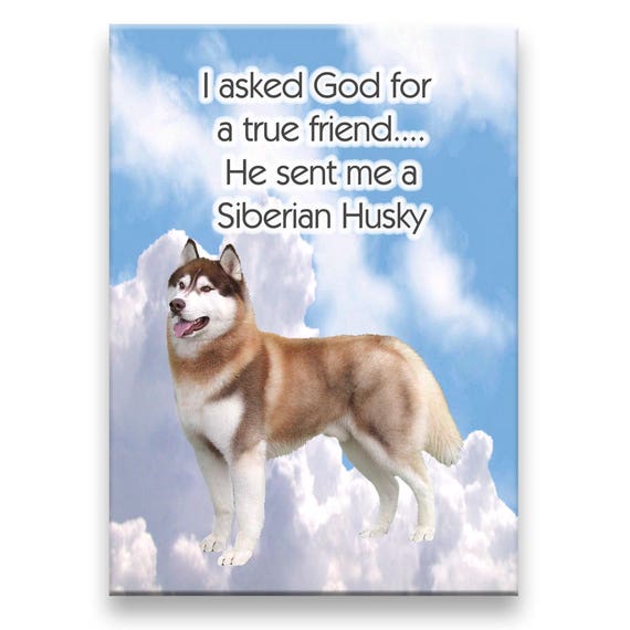 Siberian Husky True Friend Fridge Magnet No 2