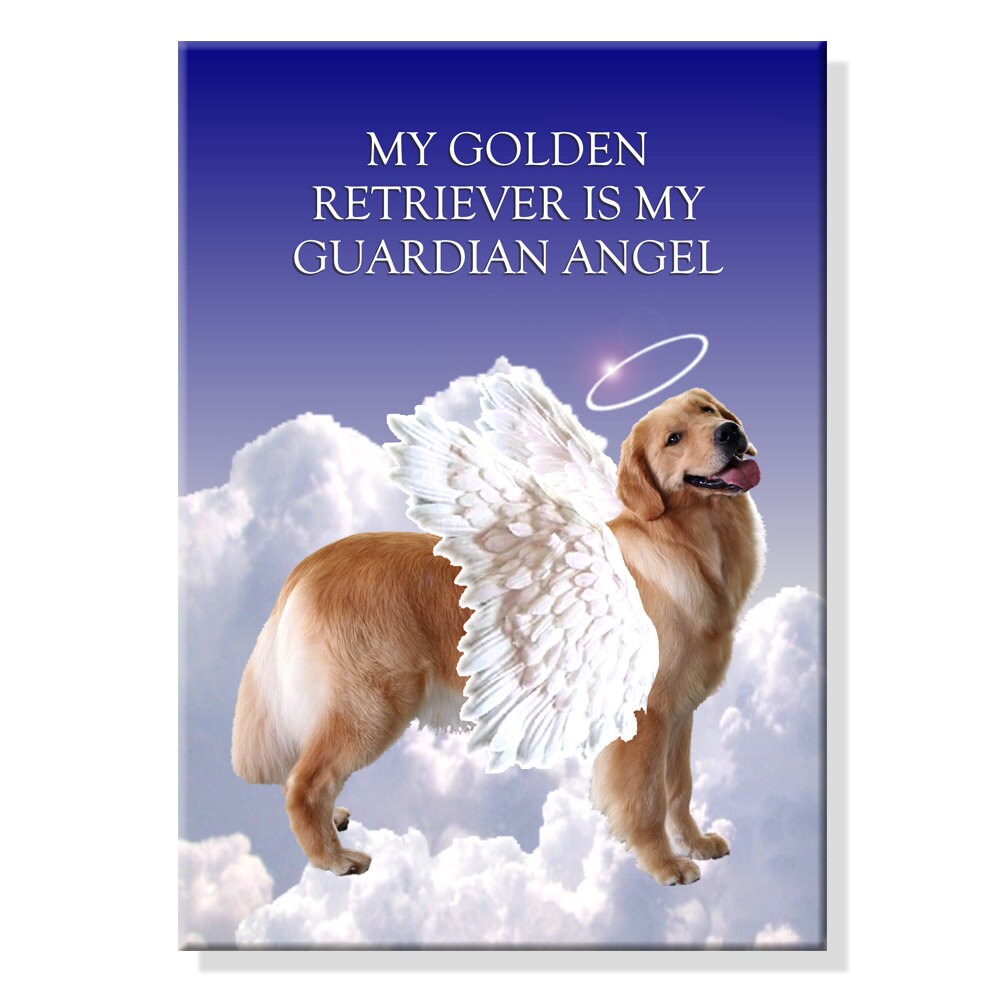 Golden Retriever refrigerator magnet 3 1//2 x 3 1//2/"