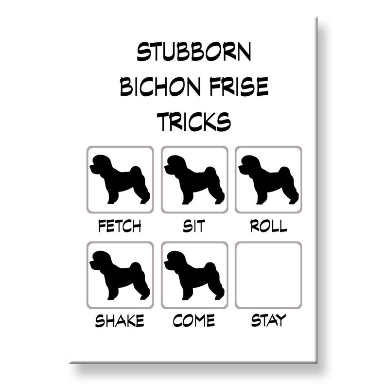 Bichon Frise Stubborn Tricks Funny Fridge Etsy