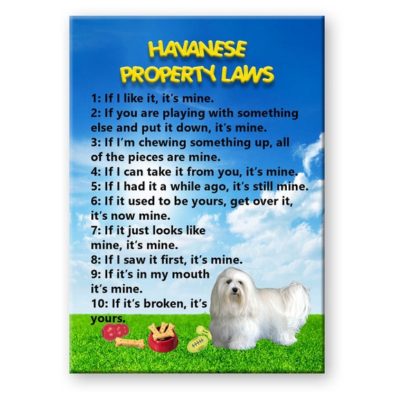 Havanese Property Laws Fridge Magnet No 1