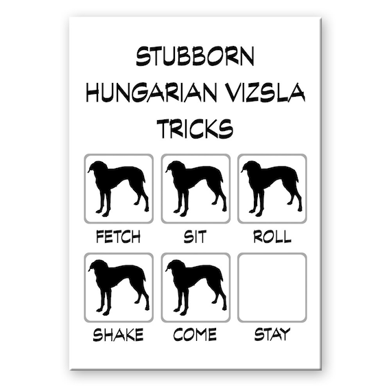 Hungarian Vizsla Stubborn Tricks Fridge Magnet