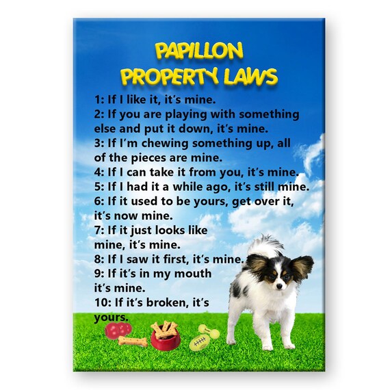 Papillon Property Laws Fridge Magnet