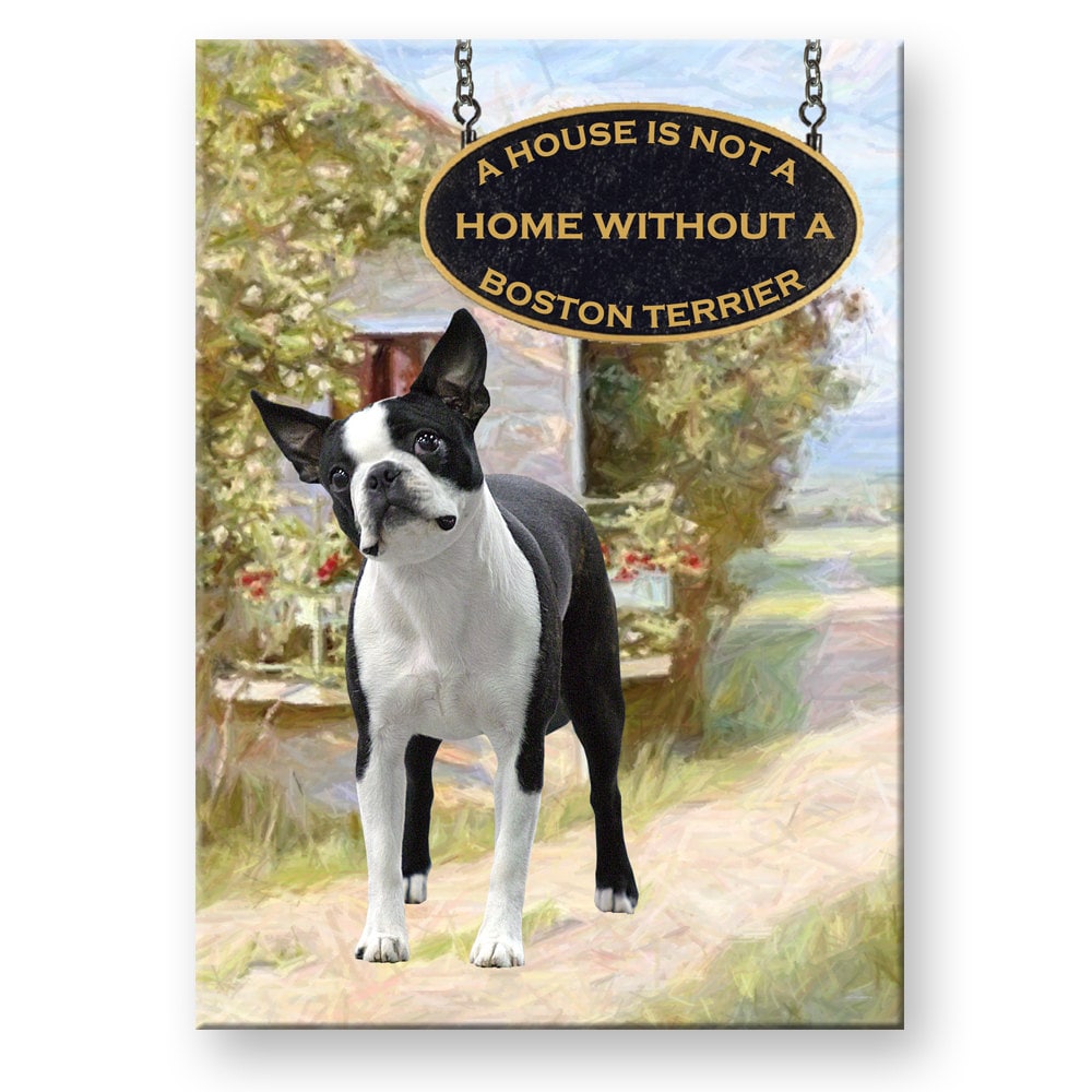 House Is Not A Home Boston Terrier Magnet